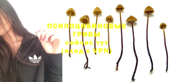 мяу мяу кристалл Армянск